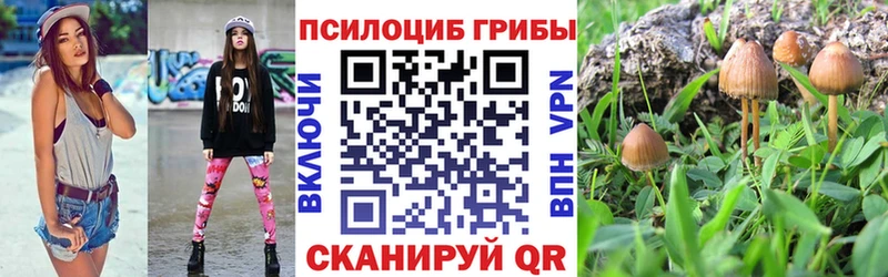 где купить наркоту  Малая Вишера  Галлюциногенные грибы ЛСД 